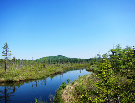 Adirondack Wetlands:  Barnum Bog from the Boreal Life Trail boardwalk